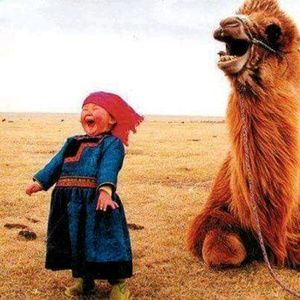 Meet your Posher, Carol